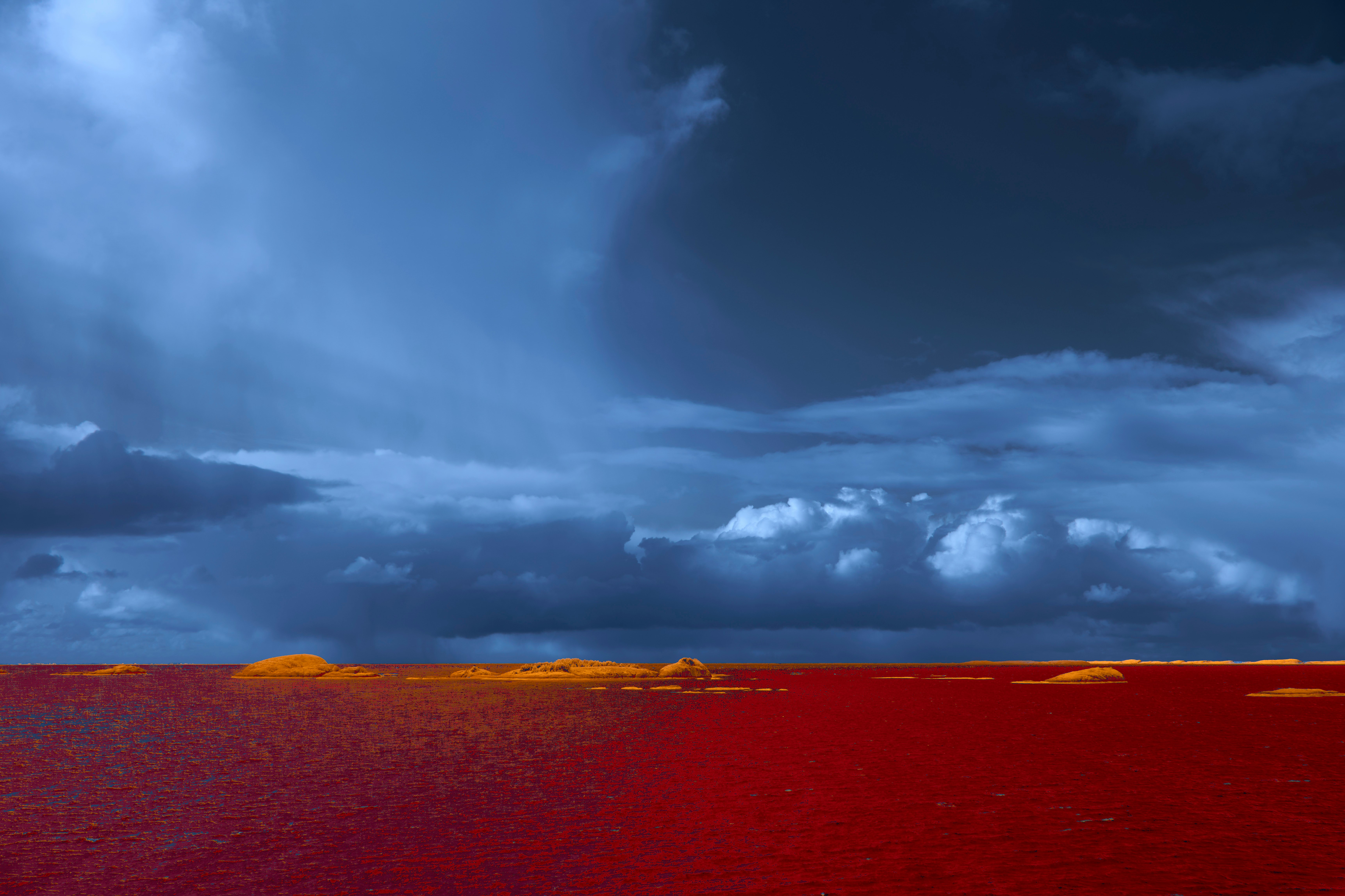 Photo by Wolfgang Hasselmann